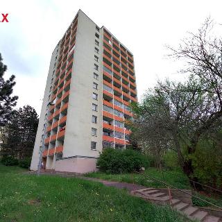 Prodej bytu 1+kk a garsoniéry 22 m² Ústí nad Labem, Hoření