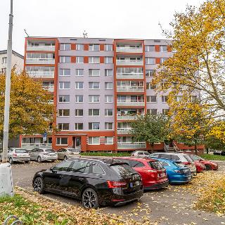 Prodej bytu 4+1 81 m² Litoměřice, Ladova