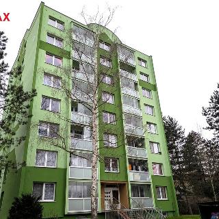 Pronájem bytu 3+1 66 m² Ústí nad Labem, Kamenná