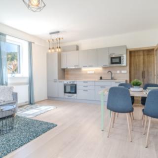 Prodej bytu 2+kk 53 m² Loučná pod Klínovcem