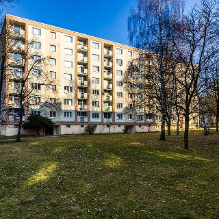 Prodej bytu 2+1 53 m² Teplice, Zrenjaninská