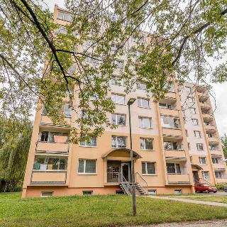 Prodej bytu 1+1 41 m² Litoměřice, Stránského