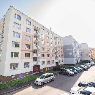 Prodej bytu 2+1 63 m² Ústí nad Labem, Železná