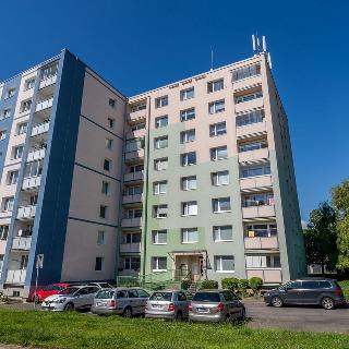 Prodej bytu 3+1 66 m² Litoměřice, Stránského