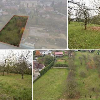 Prodej stavební parcely 2 039 m² Hoštka