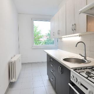 Pronájem bytu 1+1 33 m² Litoměřice, Hrubínova