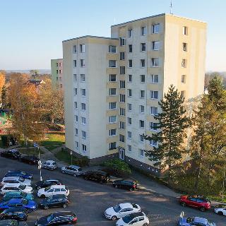 Prodej bytu 4+1 83 m² Litoměřice, Růžovka