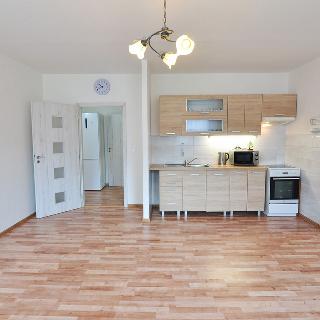 Prodej bytu 2+kk 48 m² Ústí nad Labem, Keplerova