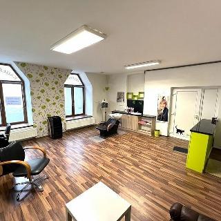 Pronájem ostatního komerčního prostoru 41 m² Kdyně, Masarykova