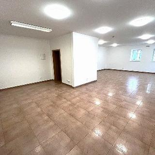 Pronájem obchodu 57 m² Domažlice, Baldovská