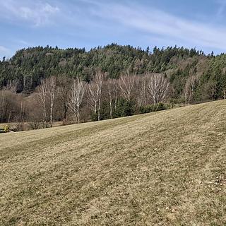 Prodej louky 49647 m&sup2; Ústí nad Orlicí