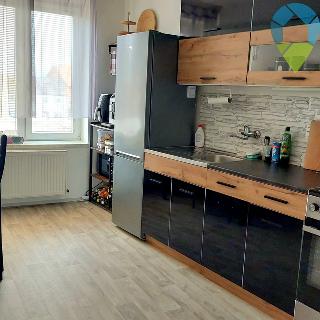 Prodej bytu 1+1 50 m² Drysice, 