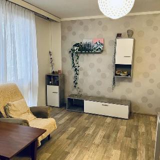 Pronájem bytu 2+kk 50 m² Brno, Ukrajinská