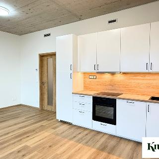 Pronájem bytu 1+kk a garsoniéry 34 m² Brno, Bohunická