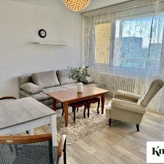 Pronájem bytu 2+kk 50 m² Brno, Ukrajinská