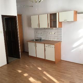 Pronájem bytu 1+kk a garsoniéry 25 m² Žatec, Dlouhá