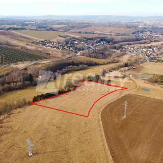 Prodej zemědělské půdy 21 768 m² Čížov, 