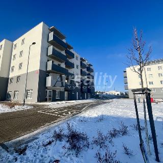 Prodej bytu 3+kk 76 m² Jihlava, Buková