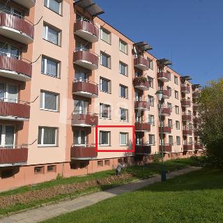 Prodej bytu 1+1 31 m² Jihlava, Březinova