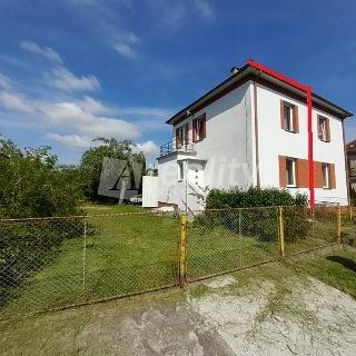 Prodej rodinného domu 83 m² Zruč nad Sázavou, Školní