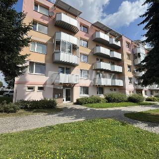 Prodej bytu 1+1 35 m² Třešť, Nerudova