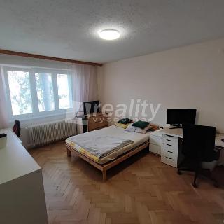 Pronájem bytu 1+1 41 m² Náměšť nad Oslavou, Husova