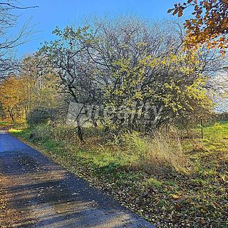 Prodej stavební parcely 1000 m&sup2; Zbinohy
