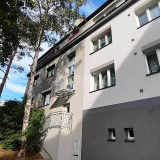 Pronájem bytu 1+1 41 m² Náměšť nad Oslavou, Husova