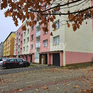 Prodej bytu 1+1 32 m² Jihlava, Březinova