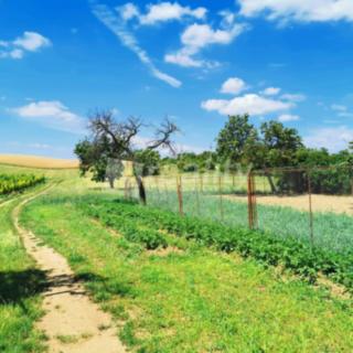 Prodej stavební parcely 934 m&sup2; Miroslav