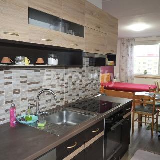 Pronájem bytu 1+kk a garsoniéry 30 m² Jihlava, Jarní