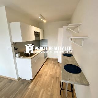 Pronájem bytu 2+kk 43 m² Beroun, Havlíčkova