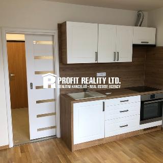 Pronájem bytu 1+kk a garsoniéry 20 m² Praha, Štúrova