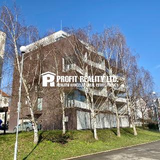 Pronájem bytu 2+kk 69 m² Beroun, Štulovna