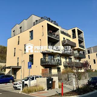 Pronájem bytu 2+kk 61 m² Beroun, Duslova