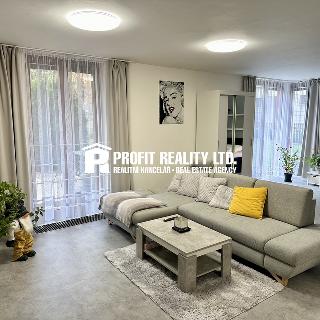 Pronájem bytu 1+kk a garsoniéry 61 m² Beroun, K Dubu