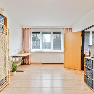 Prodej bytu 2+1 64 m² České Budějovice, J. Opletala