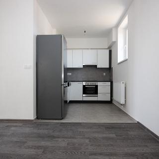 Pronájem bytu 3+kk 66 m² Opařany