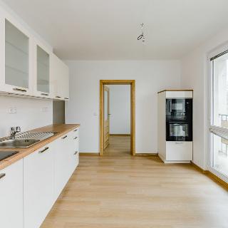 Pronájem bytu 4+1 82 m² Tábor, Družstevní