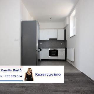 Pronájem bytu 3+kk 66 m² Opařany