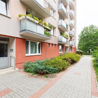 Prodej bytu 2+1 62 m² Tábor, Buzulucká