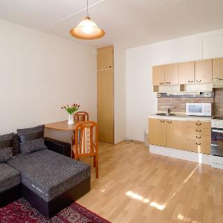 Pronájem bytu 1+1 43 m² Tábor, Hanojská