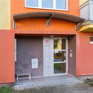 Pronájem bytu 1+kk a garsoniéry 19 m² Tábor, Petrohradská