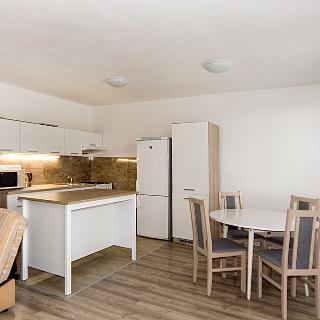 Pronájem bytu 3+kk 66 m² Praha, Pujmanové