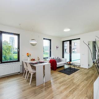 Pronájem bytu 2+kk 48 m² Praha, Nekvasilova