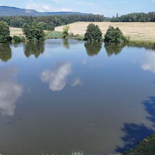 Prodej vodní plochy 94 551 m² Moravská Třebová