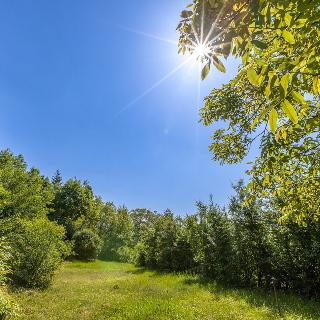 Prodej stavební parcely 1 591 m² Hlásná Třebaň, Slunečná