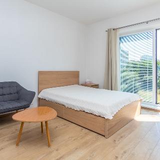 Pronájem bytu 1+kk a garsoniéry 32 m² Praha, Klapálkova