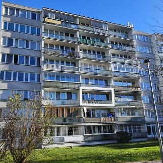 Prodej bytu 2+kk 40 m² Praha, Nekvasilova