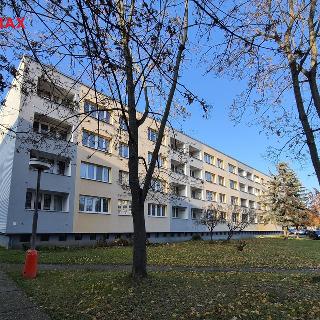 Prodej bytu 2+1 51 m² Kutná Hora, Puškinská